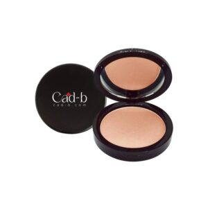 Dual Blend Powder Foundation - Mesa WD105